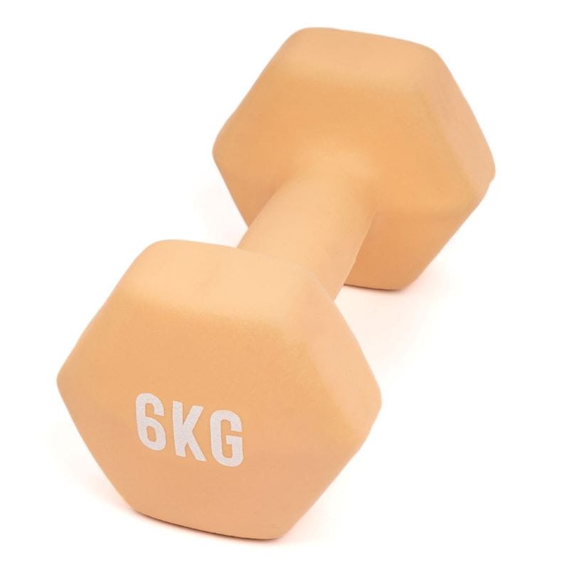 Hantle fitness myga Dumbbell - 6kg