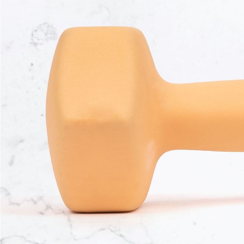 Hantle fitness myga Dumbbell - 6kg