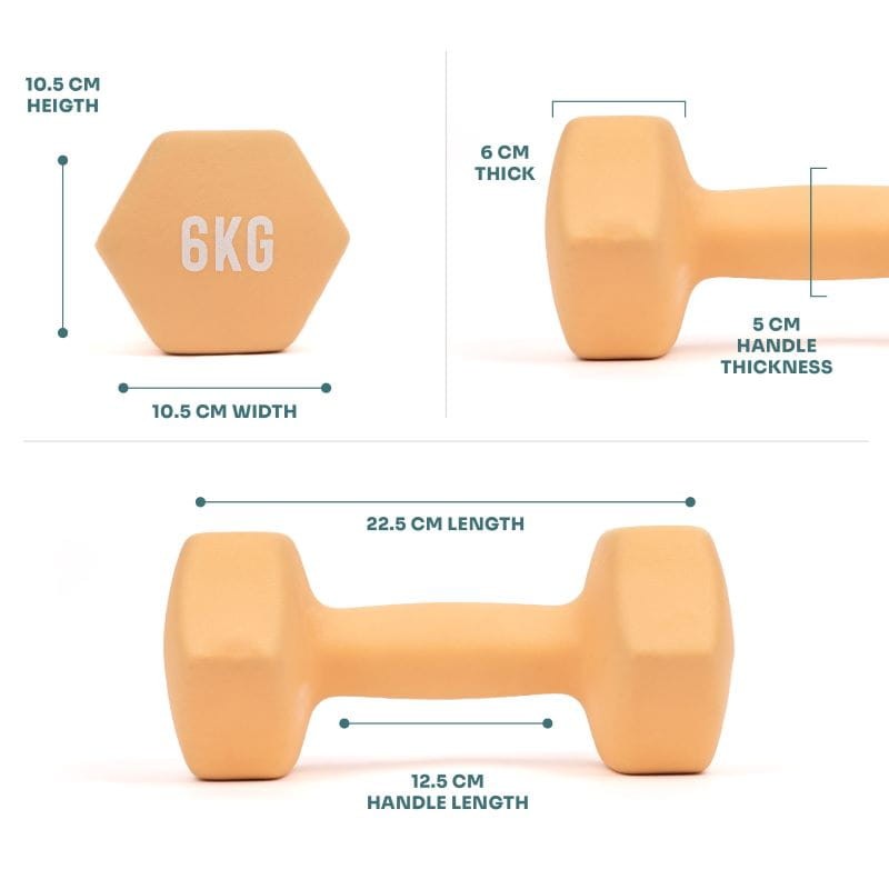 Hantle fitness myga Dumbbell - 6kg