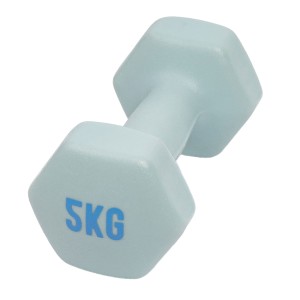 Hantla fitness myga Dumbbell - 5kg